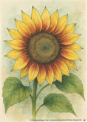 Sunflower Puzzle